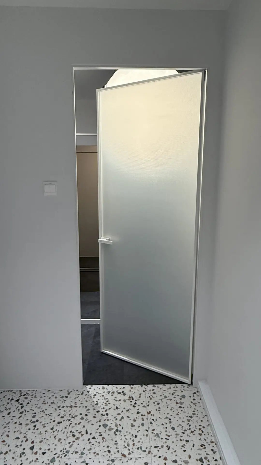 WhatsApp Image 2025-04-17 slimframe pivot door